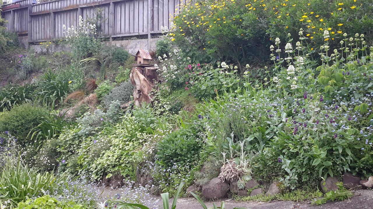 210 Hillsidecottage เนลสัน ภายนอก รูปภาพ