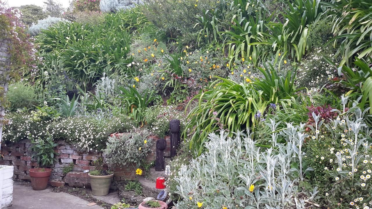 210 Hillsidecottage เนลสัน ภายนอก รูปภาพ