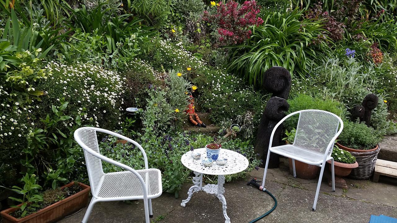 210 Hillsidecottage เนลสัน ภายนอก รูปภาพ